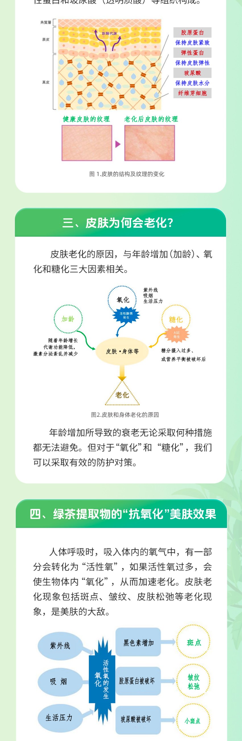 圖片關(guān)鍵詞